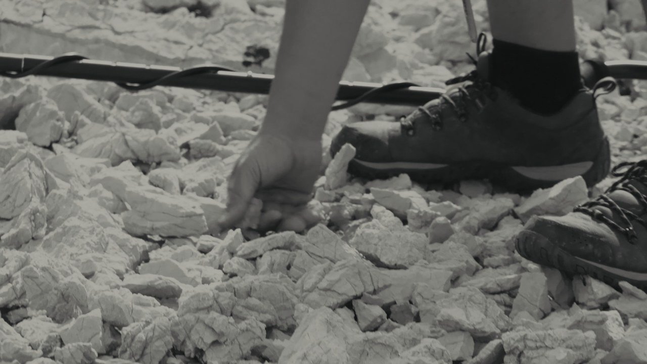 A hand searching among pale stones