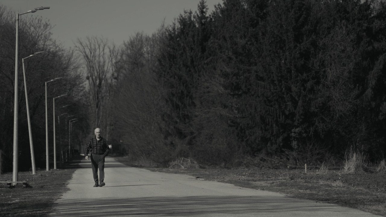 A man walking alone along a road